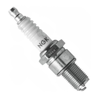 NGK B9EG Spark Plug (3530)
