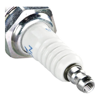 NGK BR10EG Spark Plug (3830)