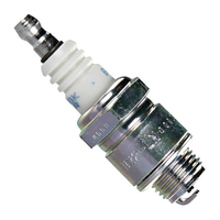 NGK BR2LM Spark Plug (5798)