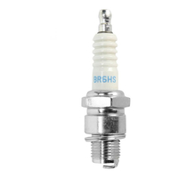NGK BR6HS Spark Plug (3922)
