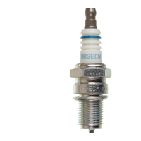 NGK BR9ECM Spark Plug (3252)