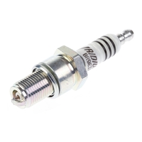 NGK BR9EIX Spark Plug (3981)