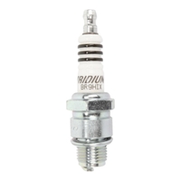 NGK BR9HIX Spark Plug
