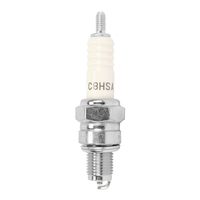 NGK C8HSA Spark Plug (6821)