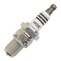 NGK CR7HIX Spark Plug (7544)
