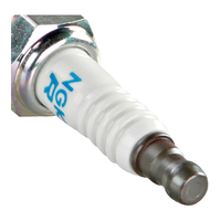NGK CR9EB Spark Plug (6955)