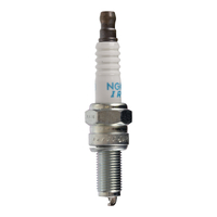 NGK CR9EIB-9 Spark Plug (92579)
