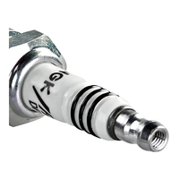 NGK DPR9EIX-9 Spark Plug (5545)